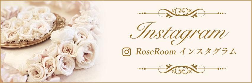 RoseRoom 󥹥