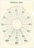 <img class='new_mark_img1' src='https://img.shop-pro.jp/img/new/icons1.gif' style='border:none;display:inline;margin:0px;padding:0px;width:auto;' />ʿĴե , ߥ塼åꥢե,,ԥȯɽץ쥼