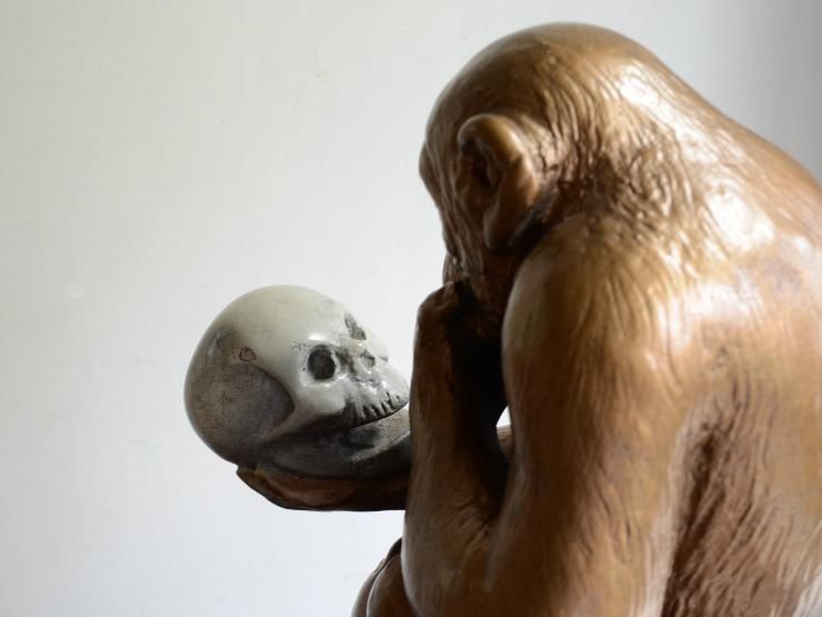 古い フランス 猿車 オブジェ 古道具 アンティーク 古い フランス 猿車 オブジェ 古道具 アンティーク