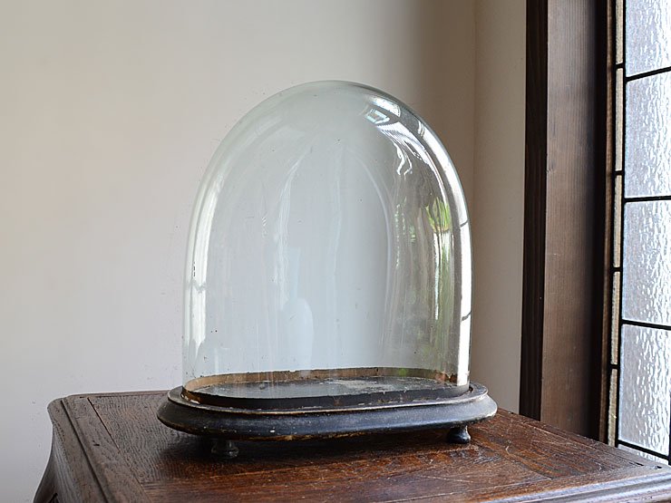 アンティーク オーバル型ガラスドーム（H30cm）｜アンティーク雑貨 