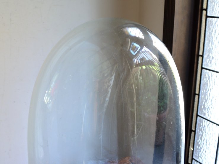 アンティーク オーバル型ガラスドーム（H40cm）｜アンティーク雑貨 