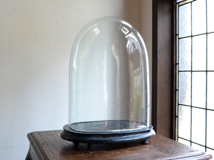 アンティーク オーバル型ガラスドーム（H37cm）｜アンティーク雑貨 