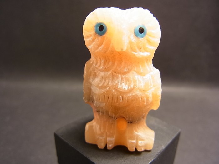 ズニ族ハンドメイド・フィティッシュ＜ＯＷＬ・フクロウ＞　160o43 - Little Cloud - リトルクラウド  渋谷区恵比寿・代官山のインディアンジュエリー専門店