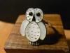 ²Reginda KallestewaۡOWLեˡ䥤쥤󥰡S15.5桡24S23