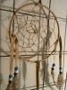 ʥХ²Dream Catcher/ɥ꡼७å㡼ľ15ʥʥ롦֥饦ϥ١ 24S36