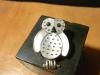 ²Reginda KallestewaۡOWLեˡ䥤쥤ڥ&֥S24S43
