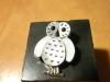 ²Reginda KallestewaۡOWLեˡ䥤쥤ڥȡS24S45