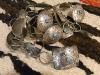 Old Pawn/1970-80sӥơ ʥХ²CONCHO BELT/Ūץ٥ w/Turquoise/25AU75
