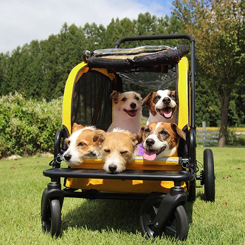 Air Buggy for Dog】エアバギー CARRIAGE キャリッジ - AsoboLabo ...