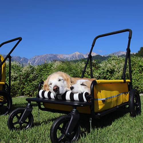 【Air Buggy for Dog】エアバギー キャリッジフロントバークッション [CARRIAGE] - AsoboLabo カタログ