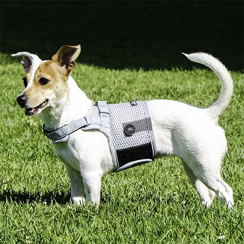 sleepypod】Martingale Dog Harness / スリーピーポッド