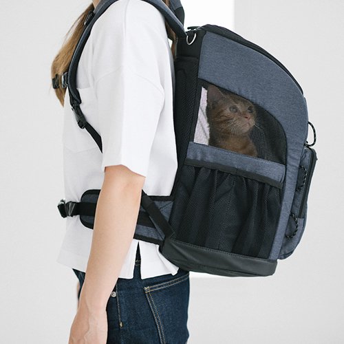 Air Buggy for Dog】3WAY BACKPACK CARRIER（エアバギー 3ウェイバック