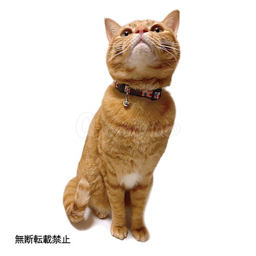 TUNAGO】TUNAGO ENVY Cat Collar Set / ツナゴ エンビー キャット