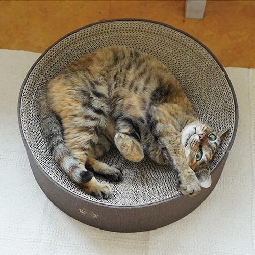 MANDARINE BROTHERS CAT SCRATCHER ROUND BED・REFILL