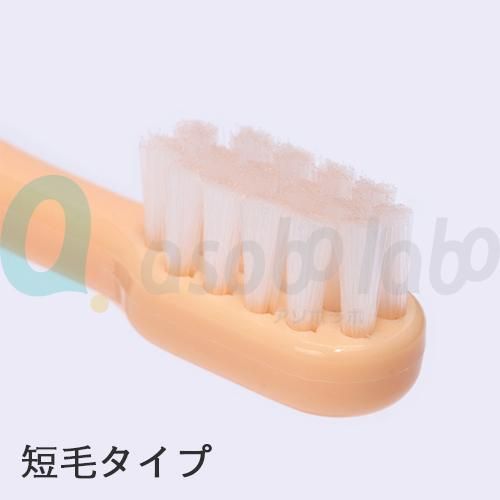 OraBio】オーラバイオブラシ 業務用 ＜全3タイプ＞ - AsoboLabo