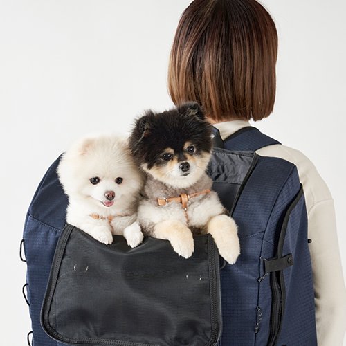 Air Buggy for Dog】3WAY BACKPACK CARRIER（エアバギー 3ウェイバック