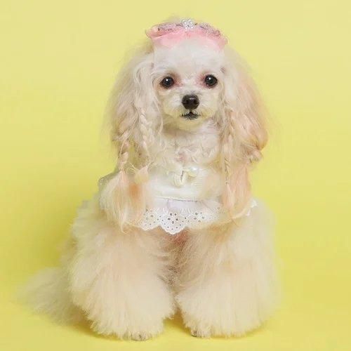 新品　ゴッドピヴァ GODPIVA テラヘルツ ボア　ワンピース 新品 ゴッドピヴァ GODPIVA テラヘルツ ボア ワンピース