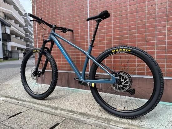 SANTA CRUZ コンプリート新品未使用MISSING HAND 9.7タグ SANTA CRUZ コンプリート新品未使用MISSING HAND 9.7タグ