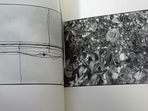 Walking with Leica 北井一夫写真集 サイン入り - 古本買取販売