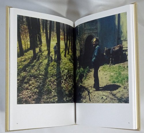 Andrey Tarkovsky: Bright, Bright Day アンドレイ・タルコフスキー - 古本買取販売 ハモニカ古書店 建築 美術  写真 デザイン 近代文学 大阪府古書籍商組合加盟店