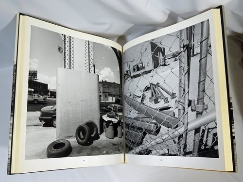 Lee Friedlander: Sticks And Stones: Architectural America リー