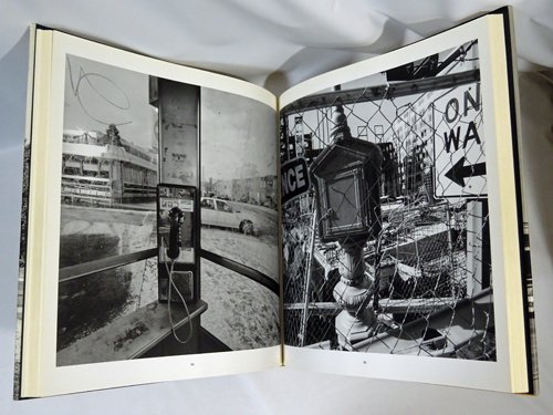 Lee Friedlander: Sticks And Stones: Architectural America リー