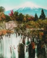 <img class='new_mark_img1' src='https://img.shop-pro.jp/img/new/icons50.gif' style='border:none;display:inline;margin:0px;padding:0px;width:auto;' />ԥ奢롦ɡʿ26ǯԼ̿Ѵۥ쥯Ÿ
