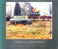 Joel Sternfeld: American Prospects 票롦ե