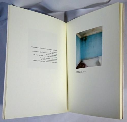 ベルナール・フォコン写真集 LePlusBeauJourDeMaJeunesse 本