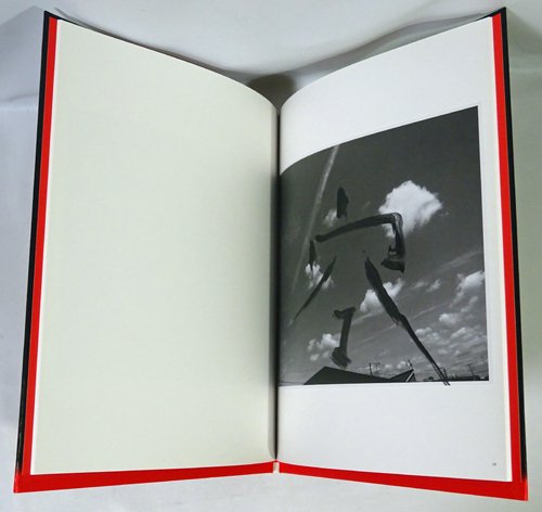 荒木経惟: 好色ペインティング Nobuyoshi Araki: Koshoku Painting