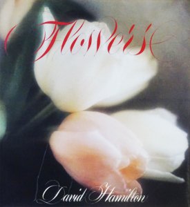 David Hamilton: Flowers デイヴィッド・ハミルトン - 古本買取販売 ...
