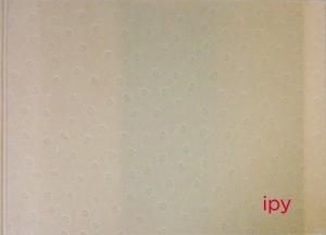 Emi Anrakuji: ipy 安楽寺えみ サイン入り - 古本買取販売 ハモニカ古 