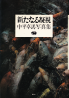 ʤŻ롡ʿϼ̿
