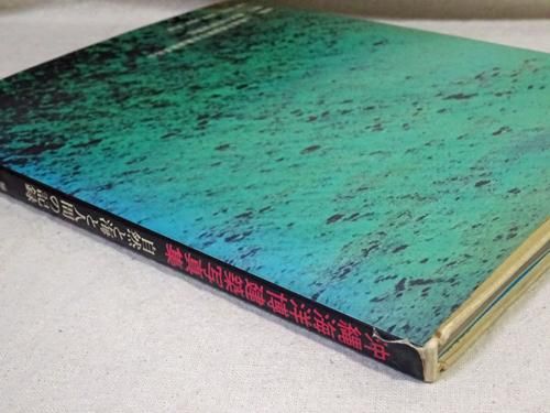 沖縄海洋博建築写真集―自然と海と人間の記録 (1975年) |本
