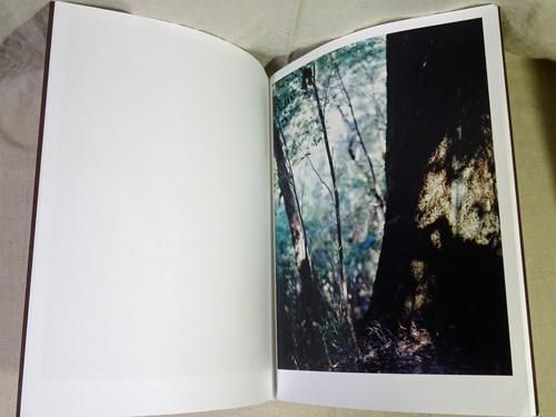 Materia Yoshihiko Ueda 上田義彦 - 古本買取販売 ハモニカ古