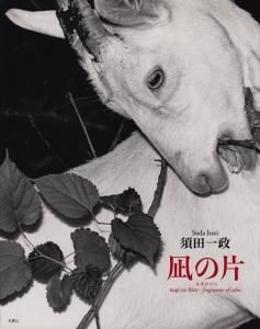 須田一政紅い花サイン入り 紅い花 須田一政写真集 サイン入り