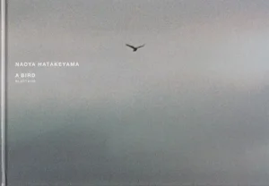 A BIRD BLAST#130 NAOYA HATAKEYAMA 畠山直哉 - 古本買取販売 ハモニカ 