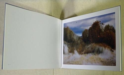 A BIRD BLAST#130 NAOYA HATAKEYAMA 畠山直哉 - 古本買取販売
