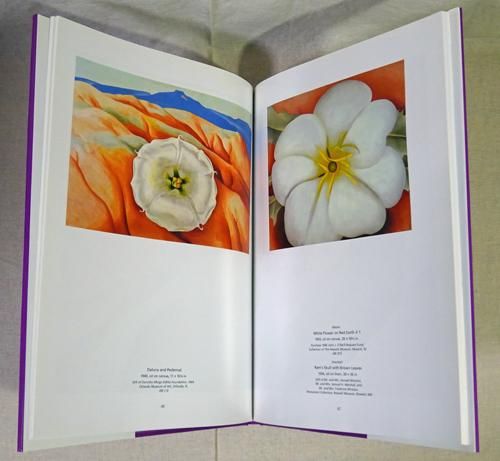 GEORGIA O'KEEFFE ジョージア・オキーフ - 古本買取販売