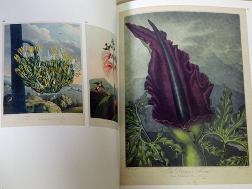 うのにもお得な情報満載！ 図録『永遠に花咲く庭 17ー19世紀の西洋植物画』 本