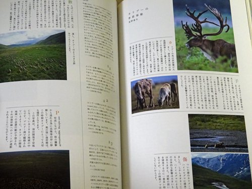 コヨーテ Coyote No.2 特集:星野道夫「僕はこのような本を読んで旅に