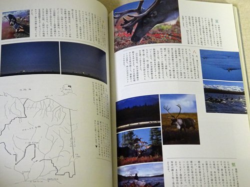 コヨーテ Coyote No.2 特集:星野道夫「僕はこのような本を読んで旅に