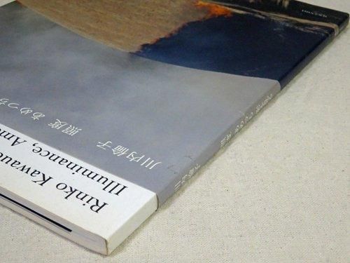 照度 あめつち 影を見る 川内倫子 - 古本買取販売 ハモニカ古