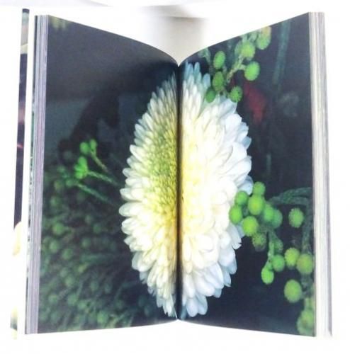 花曲 荒木経惟 - 古本買取販売 ハモニカ古書店 建築 美術 写真