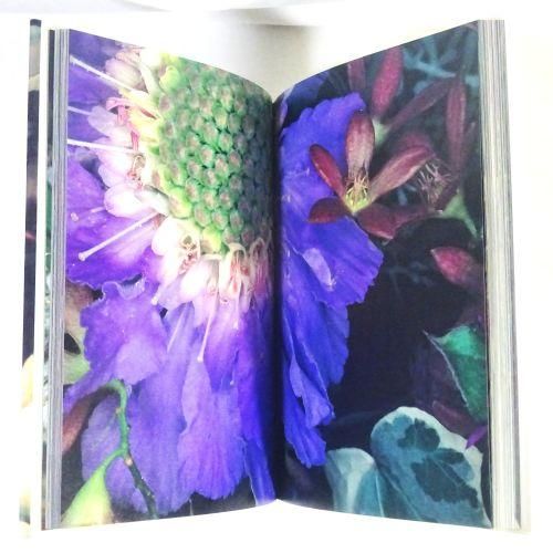 花曲 荒木経惟 - 古本買取販売 ハモニカ古書店 建築 美術 写真