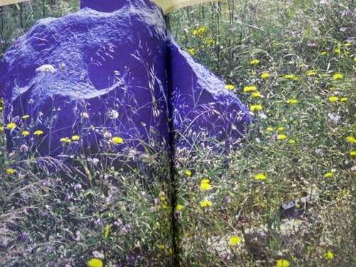 Mark Borthwick: No Mark Will Shine マーク・ボズウィック - 古本買取