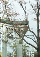 <img class='new_mark_img1' src='https://img.shop-pro.jp/img/new/icons50.gif' style='border:none;display:inline;margin:0px;padding:0px;width:auto;' />ե˥ե˥顡Photographs 19982003궶īҼ̿