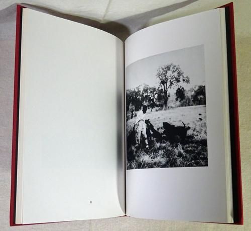 Matt Mahurin: Photographs マット・マハリン - 古本買取販売