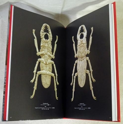 西尾康之 健康優良児 [EROS] - 古本買取販売 ハモニカ古書店 建築 美術