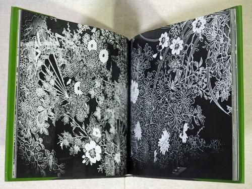 続にっぽん劇場写真帖　森山大道　ソノラマ写真選書6 - 古本買取販売 ハモニカ古書店　建築 美術 写真 デザイン 近代文学 大阪府古書籍商組合加盟店